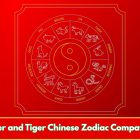Rooster and Tiger Chinese Zodiac Compatibility