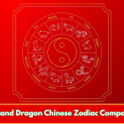 Snake and Dragon Chinese Zodiac Compatibility