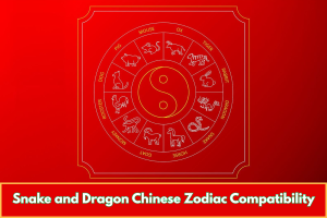 Snake and Dragon Chinese Zodiac Compatibility