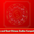 Snake and Goat Chinese Zodiac Compatibility