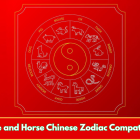 Snake and Horse Chinese Zodiac Compatibility
