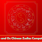 Snake and Ox Chinese Zodiac Compatibility