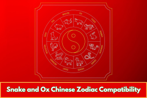 Snake and Ox Chinese Zodiac Compatibility
