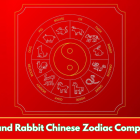 Snake and Rabbit Chinese Zodiac Compatibility