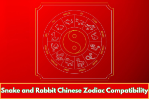 Snake and Rabbit Chinese Zodiac Compatibility