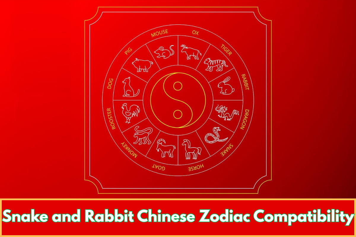 Snake and Rabbit Chinese Zodiac Compatibility