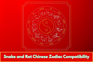 Snake and Rat Chinese Zodiac Compatibility