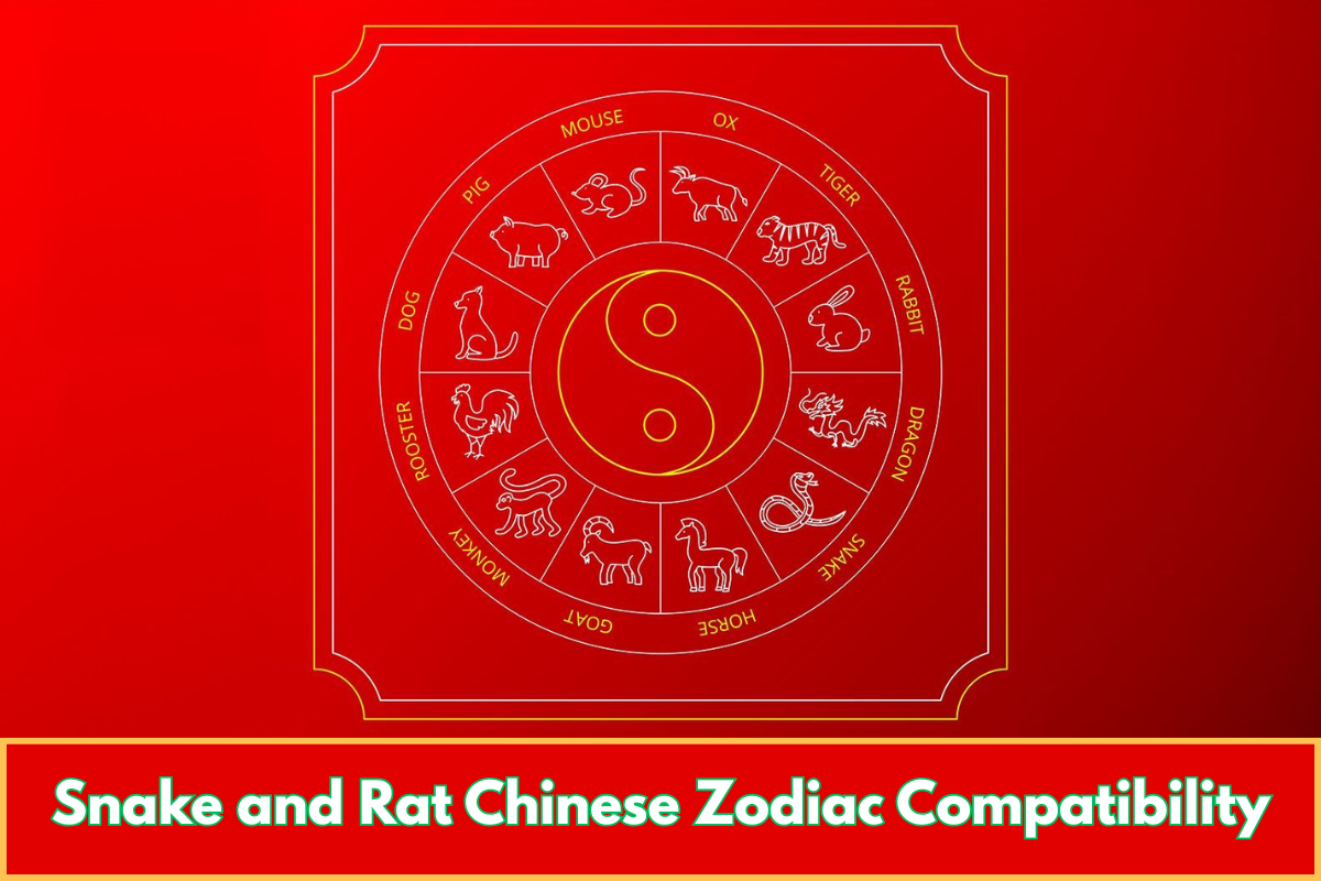 Snake and Rat Chinese Zodiac Compatibility