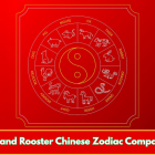 Snake and Rooster Chinese Zodiac Compatibility