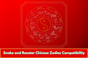 Snake and Rooster Chinese Zodiac Compatibility