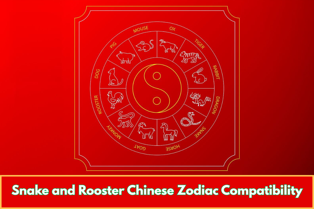 Snake and Rooster Chinese Zodiac Compatibility