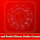 Snake and Snake Chinese Zodiac Compatibility