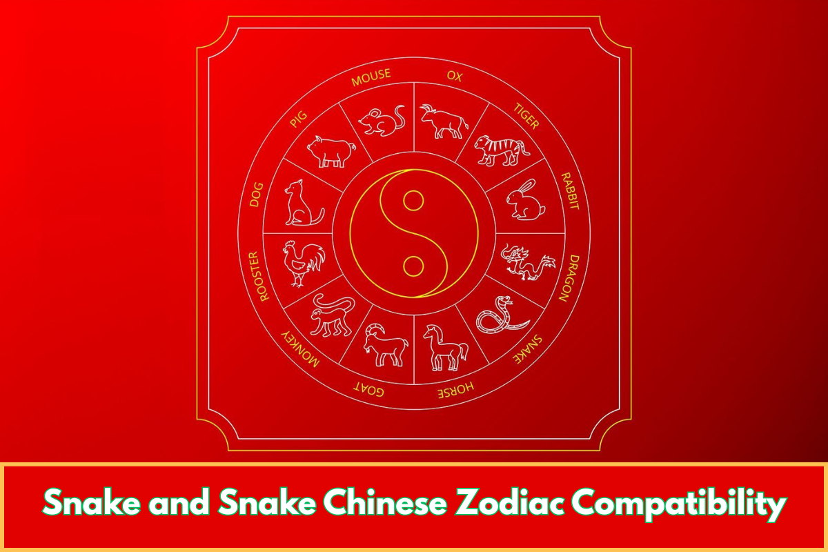 Snake and Snake Chinese Zodiac Compatibility