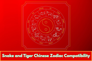 Snake and Tiger Chinese Zodiac Compatibility