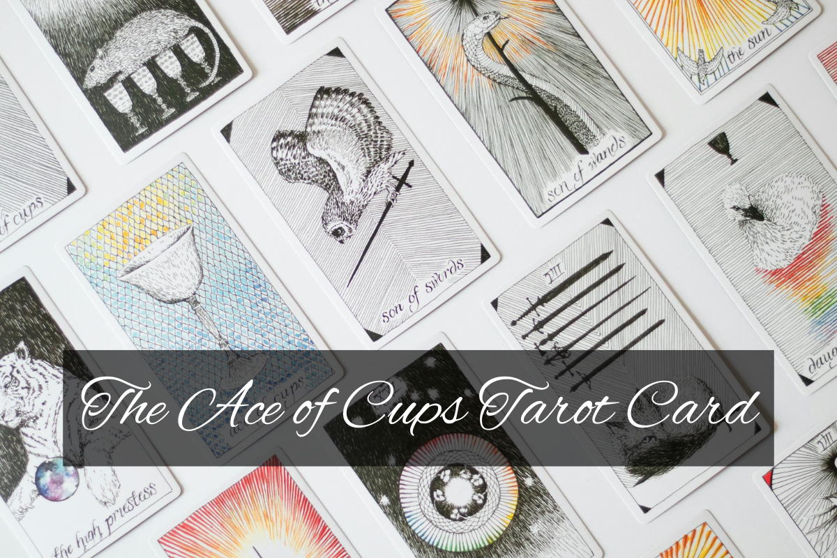 The Ace of Cups Tarot Card