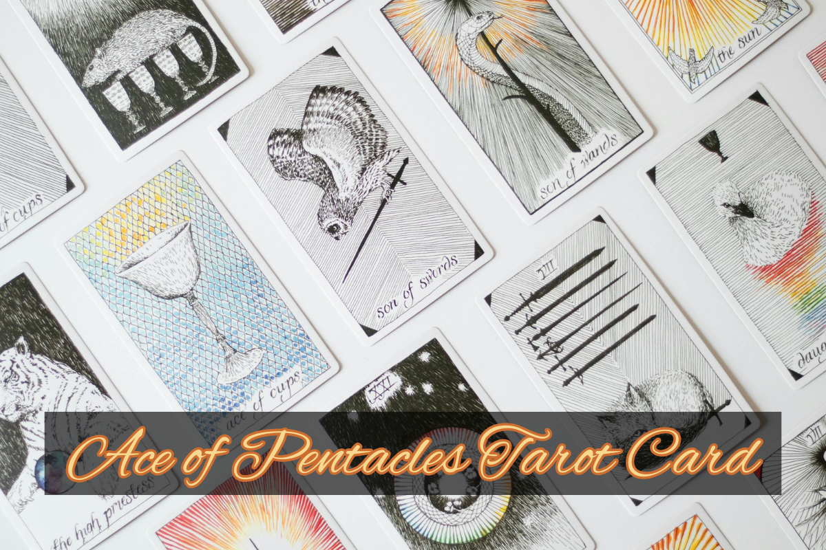 The Ace of Pentacles Tarot Card