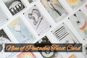 The Nine of Pentacles Tarot Card