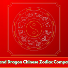 Tiger and Dragon Chinese Zodiac Compatibility