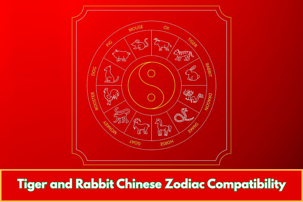 Tiger and Rabbit Chinese Zodiac Compatibility