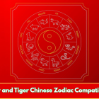 Tiger and Tiger Chinese Zodiac Compatibility