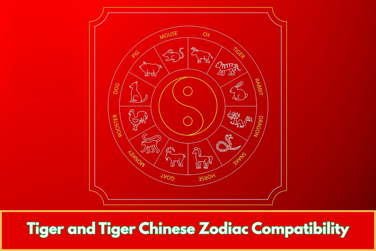 Tiger and Tiger Chinese Zodiac Compatibility