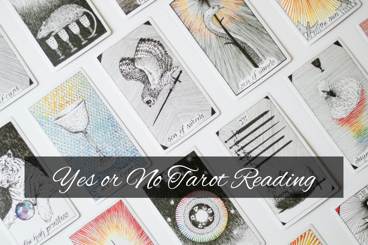 Yes or No Tarot Reading