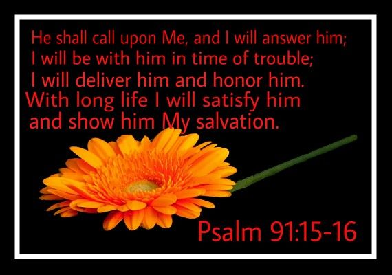 know what does it mean in the bible - 15 AND VERSE 16 KJV