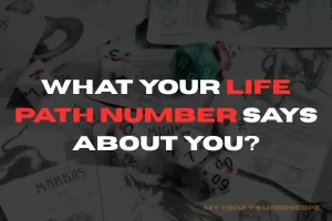 What Your Life Path Number Says About You?