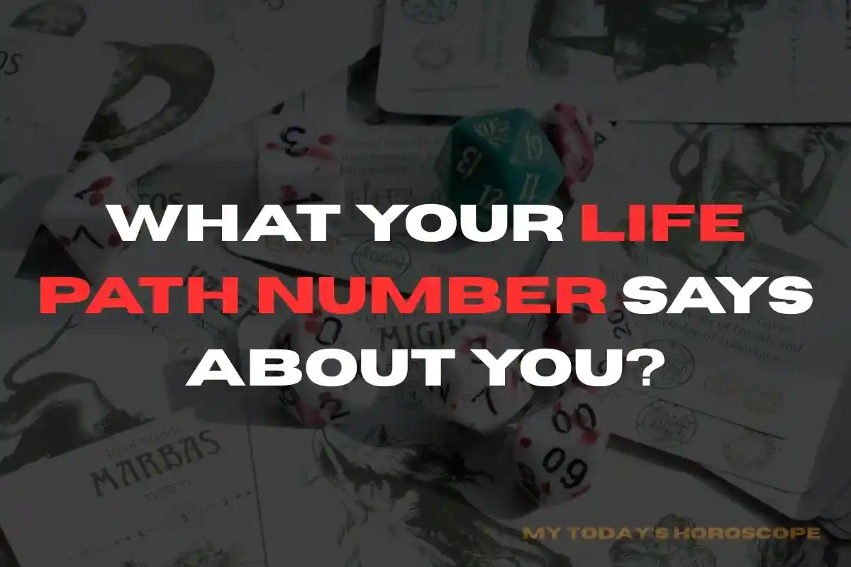 What Your Life Path Number Says About You?