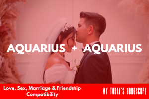Aquarius and Aquarius Compatibility