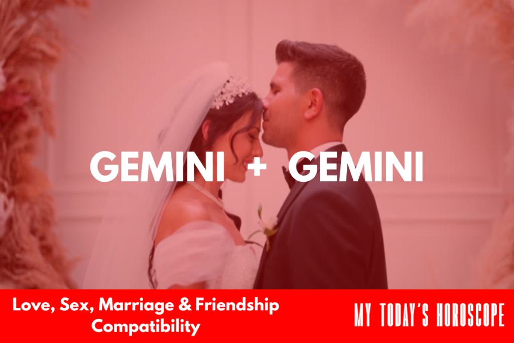 GEMINI COMPATIBILITY WITH ANOTHER GEMINI visual data 8