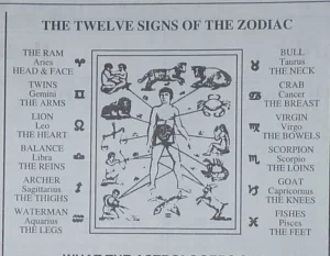 Anatomy & The Zodiac Signs: Your Body’s Starry Story