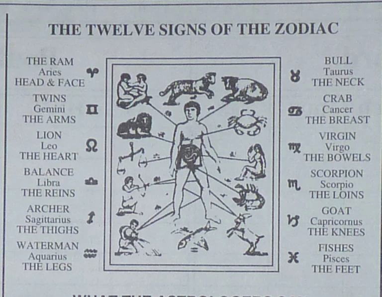 Anatomy & The Zodiac Signs: Your Body’s Starry Story