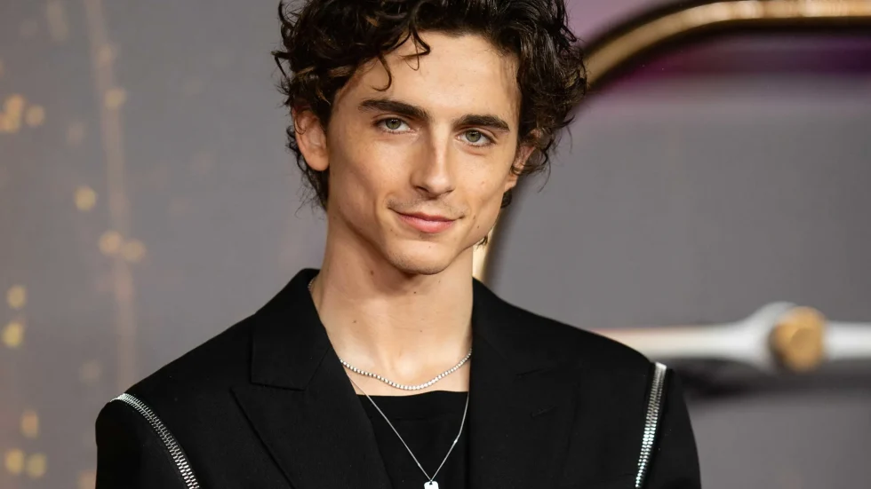Timothée Chalamet's Birth Chart: Horoscope by Date of Birth