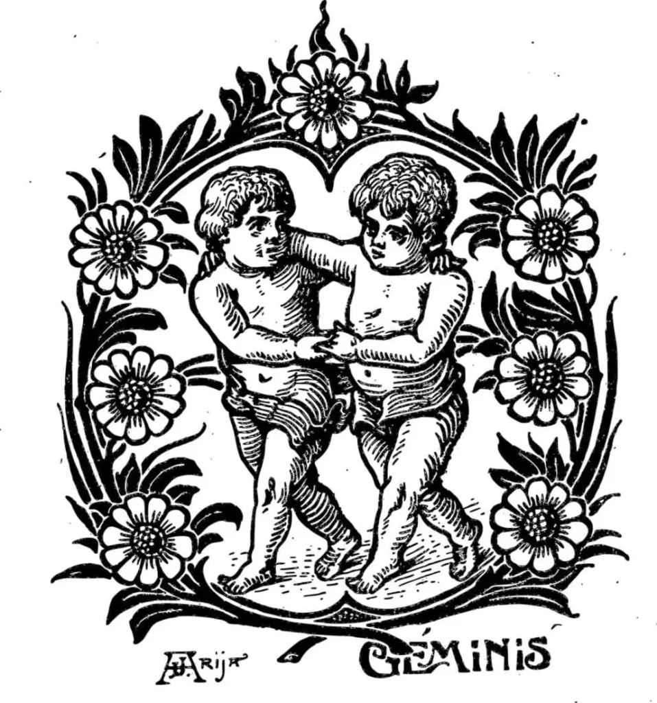 Gemini Sign